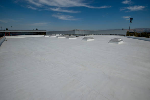 Best Roof Leak Repair  in Tomah, WI